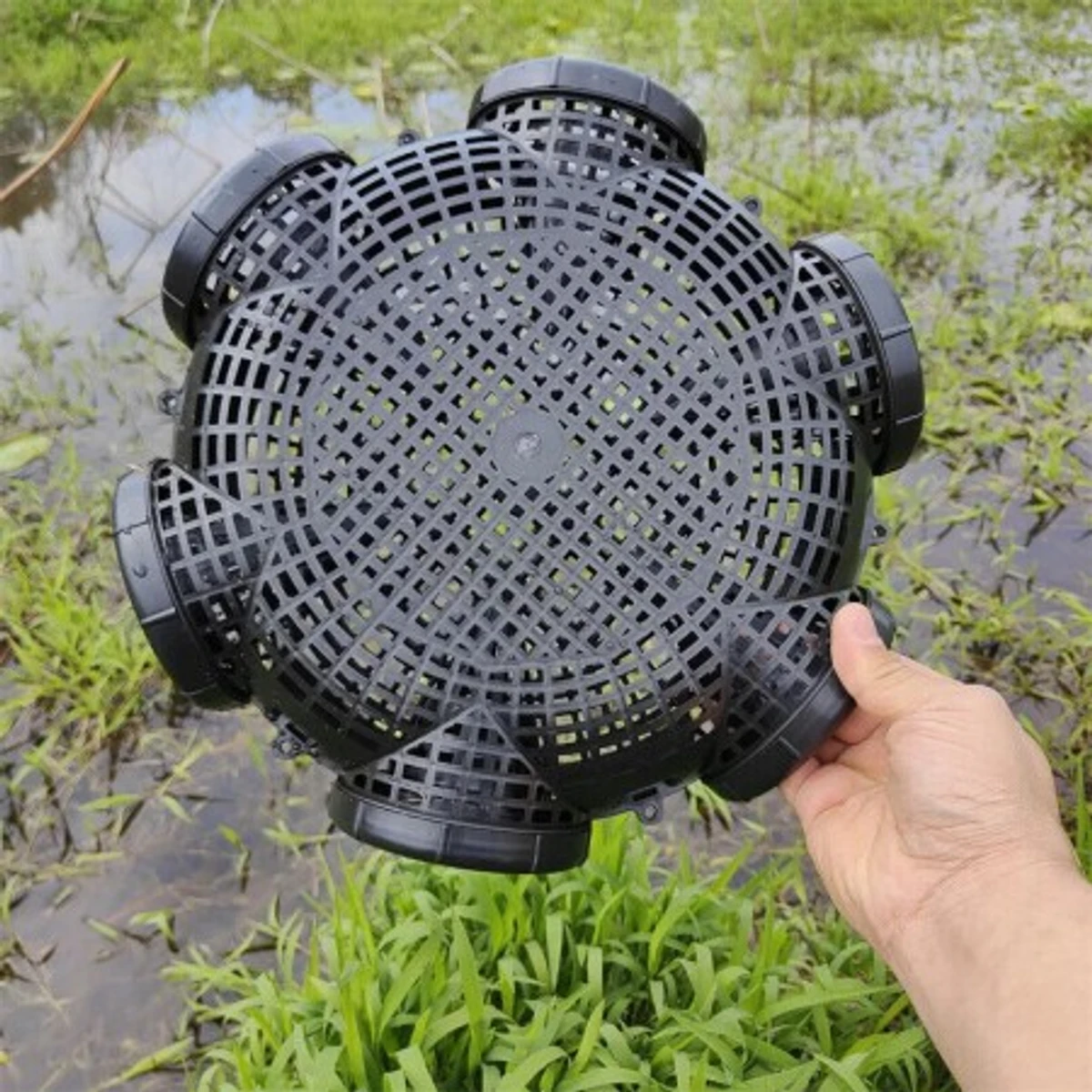 Outdoor Fishing Cage Basket (6 Hole)